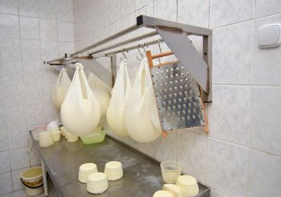 vyroba_mliecnych_vyrobkov_007